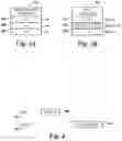 Fig. 05 - Transaction identification