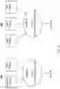 Fig. 14 - ENFORCING DIVERSITY IN RANKED RELEVANCE RESULTS RETURNED FROM A UNIVERSAL RELEVANCE SERVICE FRAMEWORK