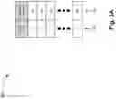 Fig. 04 - PRIMING-BASED SEARCH AND DISCOVERY OF CONTENT