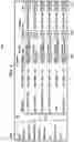 Fig. 07 - Database Data Replication Tool