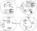 Fig. 01 - Labeling/names of themes