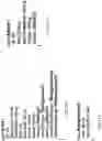 Fig. 12 - TEMPORAL MULTI-FACTOR RATING AND DATA VISUALIZATION SYSTEM