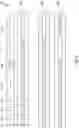 Fig. 07 - Time-series analytics for database management systems