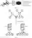 Fig. 02 - Graph refactorization method and graph refactorization apparatus