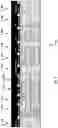 Fig. 07 - DETECTION OF REPEATED SECURITY EVENTS RELATED TO REMOVABLE MEDIA