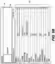 Fig. 09 - Spool sheet generation