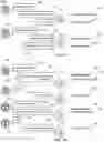 Fig. 06 - Dialog session override policies for assistant systems