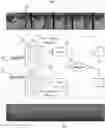 Fig. 01 - Systems and methods for counting repetitive activity in audio video content