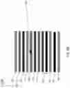 Fig. 12 - RFID bead label devices capable of withstanding and maintaining RFID operability for identification purposes during and post-vulcanization of rubber articles