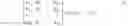 Fig. 04 - Lightweight Decompositional Convolution Neural Network