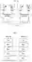 Fig. 06 - Neural architecture search method based on knowledge distillation