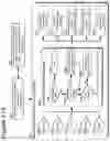 Fig. 145 - Goals Assembly Layers