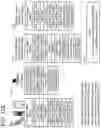 Fig. 163 - Goals Assembly Layers
