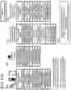 Fig. 164 - Goals Assembly Layers