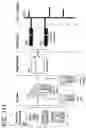 Fig. 173 - Goals Assembly Layers
