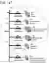 Fig. 179 - Goals Assembly Layers