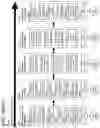 Fig. 333 - Goals Assembly Layers