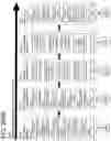 Fig. 335 - Goals Assembly Layers