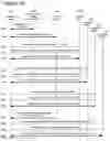 Fig. 96 - Goals Assembly Layers