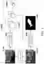 Fig. 03 - Saliency map generation method and image processing system using the same