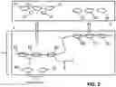 Fig. 03 - Enhanced extended depth of focusing on biological samples