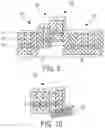 Fig. 09 - Enhanced extended depth of focusing on biological samples