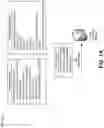 Fig. 02 - Neural-network-driven topology for optical coherence tomography segmentation