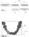 Fig. 02 - Dental image registration device and method