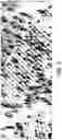 Fig. 04 - MOVING IMAGE DISTANCE CALCULATOR AND COMPUTER-READABLE STORAGE MEDIUM STORING MOVING IMAGE DISTANCE CALCULATION PROGRAM