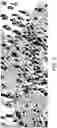 Fig. 06 - MOVING IMAGE DISTANCE CALCULATOR AND COMPUTER-READABLE STORAGE MEDIUM STORING MOVING IMAGE DISTANCE CALCULATION PROGRAM