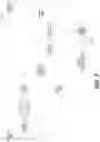 Fig. 08 - Method and apparatus for point cloud coding