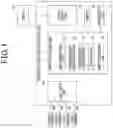 Fig. 02 - PERIPHERAL VIDEO GENERATION DEVICE, PERIPHERAL VIDEO GENERATION METHOD, AND STORAGE MEDIUM STORING PROGRAM