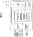 Fig. 04 - PERIPHERAL VIDEO GENERATION DEVICE, PERIPHERAL VIDEO GENERATION METHOD, AND STORAGE MEDIUM STORING PROGRAM