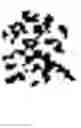 Fig. 03 - Image segmentation using text embedding