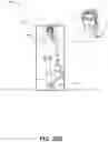 Fig. 31 - Augmented reality systems and methods utilizing reflections