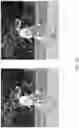 Fig. 05 - CONTENT SOFTENING OPTIMIZATION