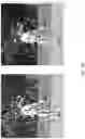 Fig. 06 - CONTENT SOFTENING OPTIMIZATION