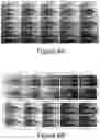 Fig. 07 - High quality AR cosmetics simulation via image filtering techniques