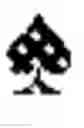 Fig. 02 - AUTOMATIC GAME PLAY