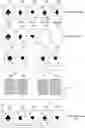 Fig. 01 - Systems, apparatuses and methods enhancing gaming outcome opportunities