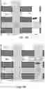 Fig. 13 - FACILITY SURVEILLANCE SYSTEMS AND METHODS