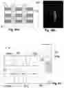 Fig. 26 - FACILITY SURVEILLANCE SYSTEMS AND METHODS