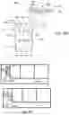 Fig. 15 - FACILITY SURVEILLANCE SYSTEMS AND METHODS