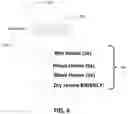 Fig. 07 - System and method for hand hygiene compliance
