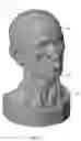 Fig. 02 - Human laryngeal model for simulation of endoscopic guided injection laryngoplasty surgery and human head and neck model