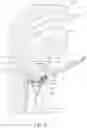 Fig. 09 - Human laryngeal model for simulation of endoscopic guided injection laryngoplasty surgery and human head and neck model