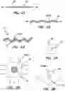 Fig. 07 - Residual stress features in organ models