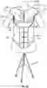 Fig. 04 - TEACHING MODEL FOR BREAST AND ABDOMINAL PROCEDURES
