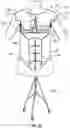 Fig. 05 - TEACHING MODEL FOR BREAST AND ABDOMINAL PROCEDURES