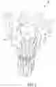 Fig. 03 - Three-dimensional display